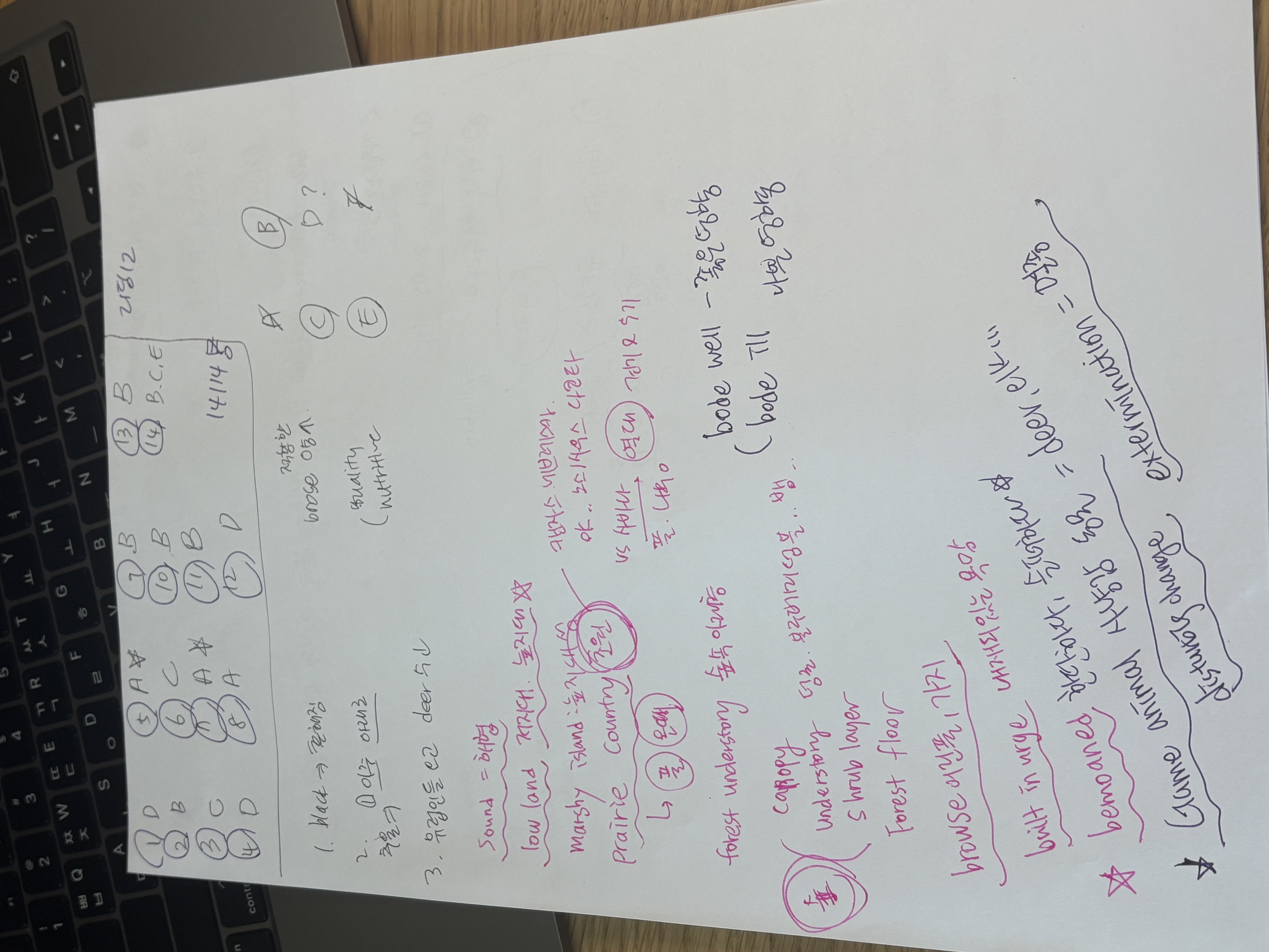 d6389c8dd0cff1cebb0c077c4d8f2b0d_1746755213_3507.jpeg d6389c8dd0cff1cebb0c077c4d8f2b0d_1746755213_3507.jpeg